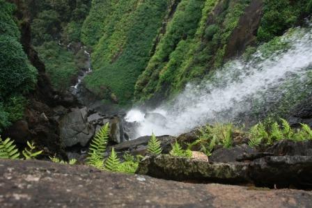 Abbi Falls